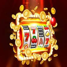 55 slot